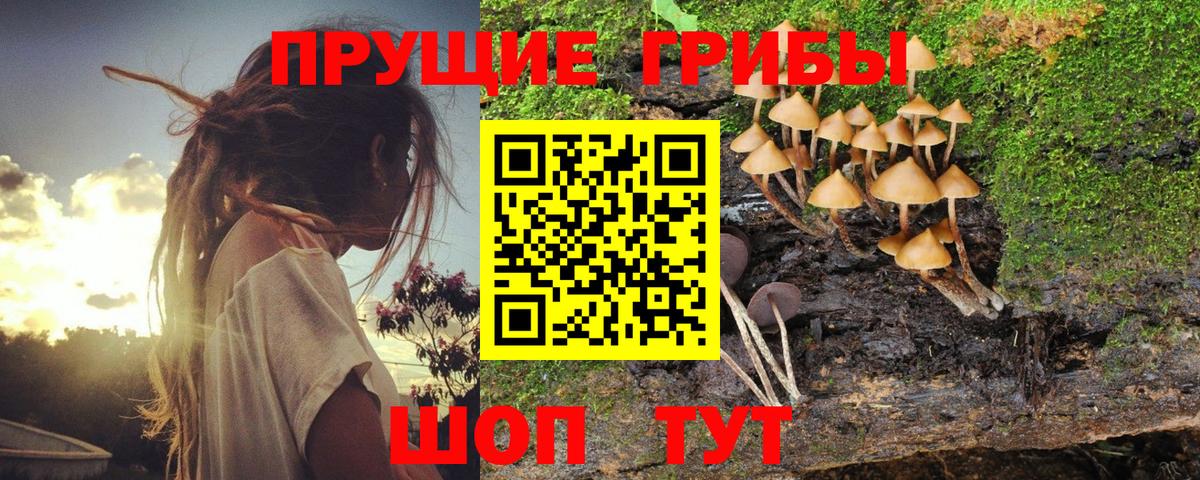 Галлюциногенные грибы GOLDEN TEACHER Хабаровск
