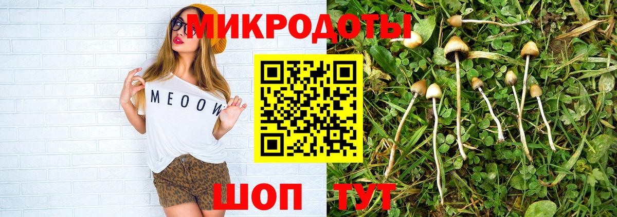 Галлюциногенные грибы GOLDEN TEACHER  Вход с VPN  Хабаровск  Галлюциногенные грибы GOLDEN TEACHER 